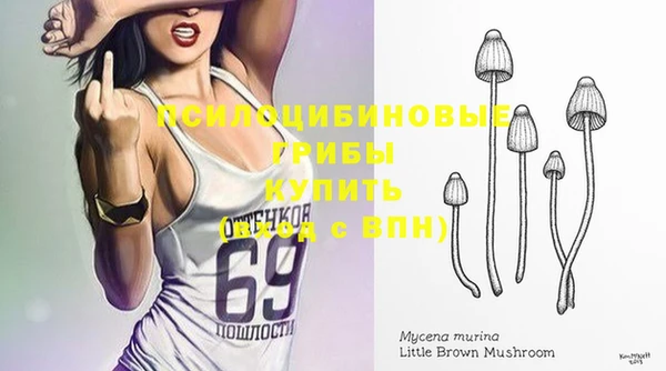 винт Инсар
