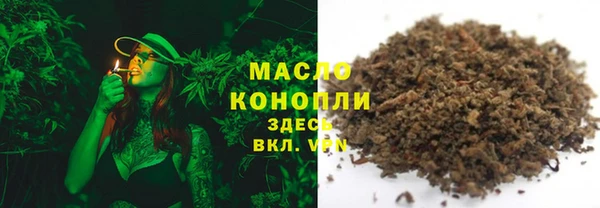 индика Инта