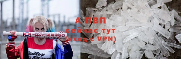 винт Инсар