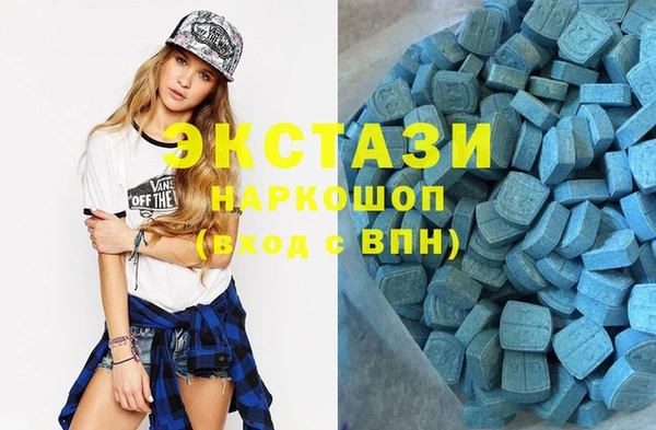 индика Инта