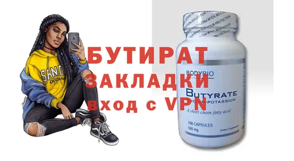 индика Инта