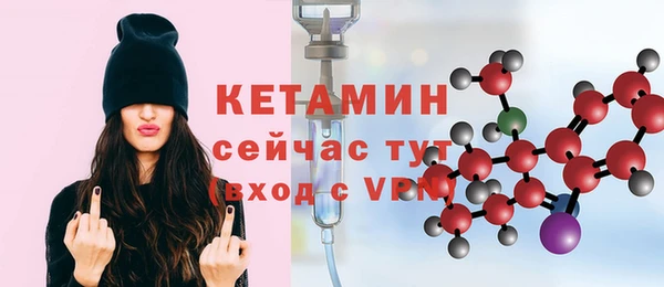 индика Инта