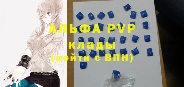 винт Инсар