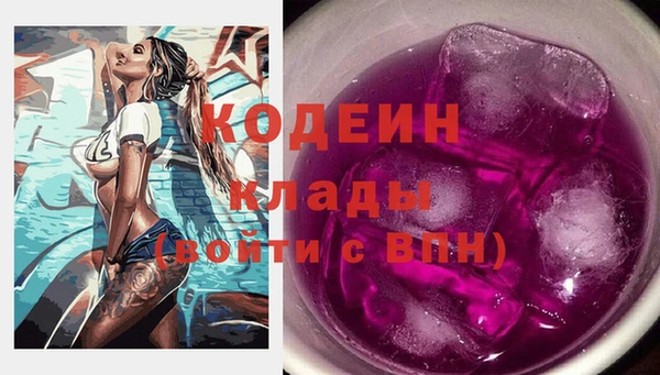 индика Инта