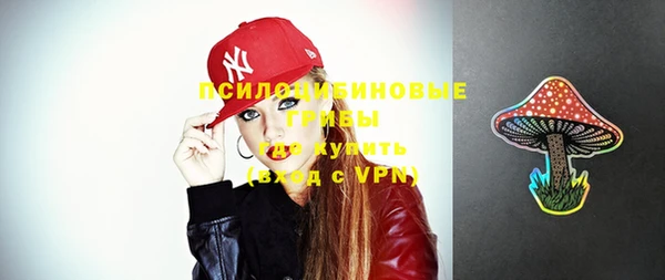 винт Инсар