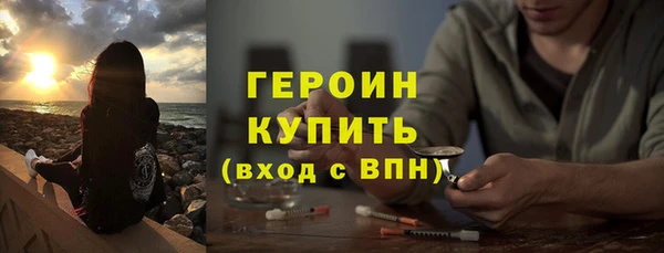 индика Инта