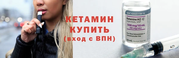 индика Инта