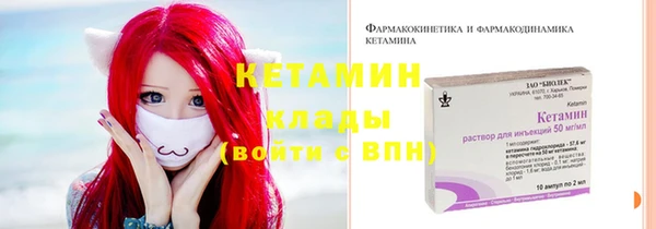 индика Инта