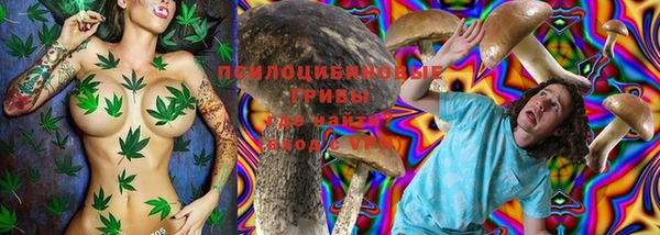 винт Инсар