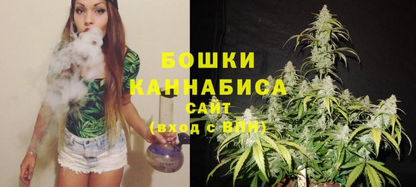 винт Инсар