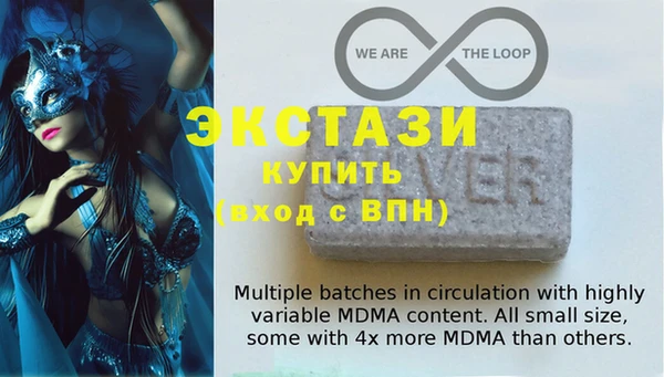 индика Инта