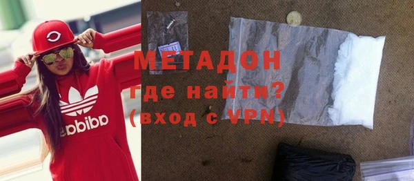 индика Инта