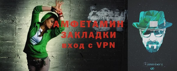 индика Инта