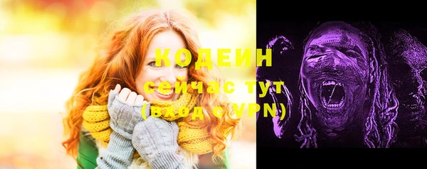 индика Инта
