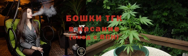 индика Инта