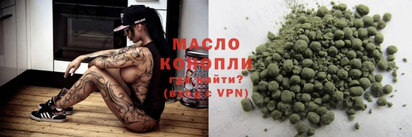 индика Инта