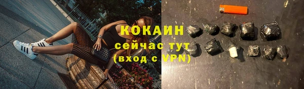 винт Инсар