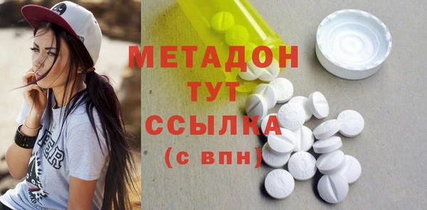 индика Инта