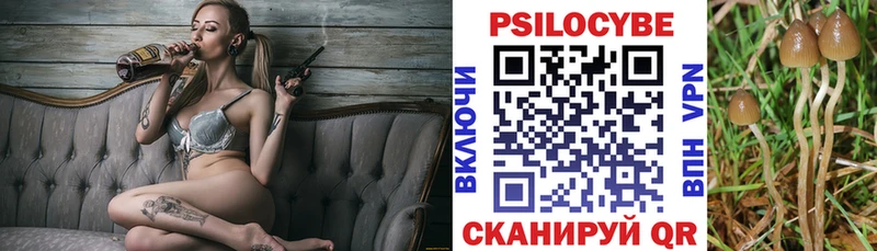 Псилоцибиновые грибы MAGIC MUSHROOMS  mega как зайти  Истра 