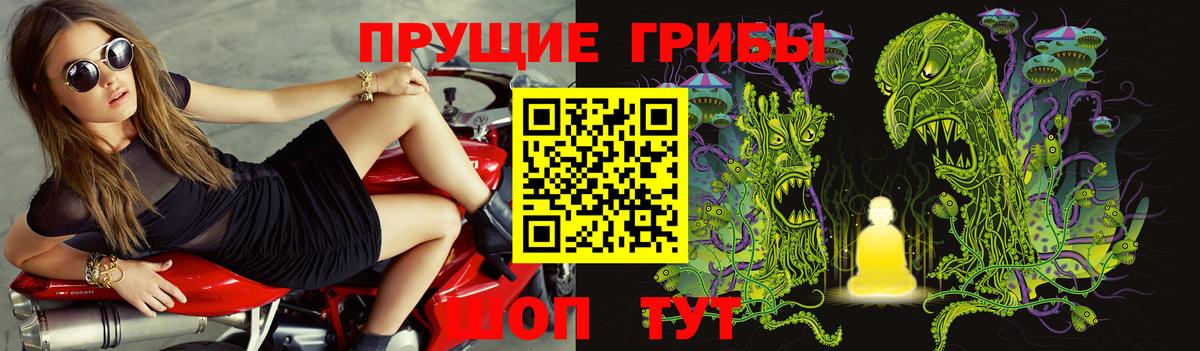 Истра  Галлюциногенные грибы GOLDEN TEACHER  Вход с VPN  Галлюциногенные грибы Psilocybine cubensis 