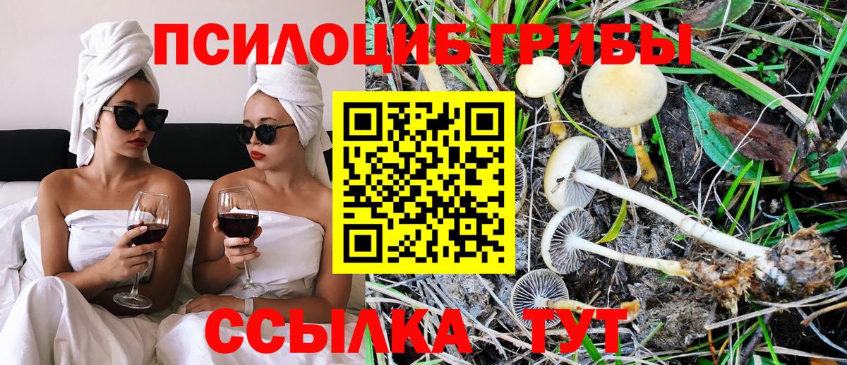 Галлюциногенные грибы Magic Shrooms Истра